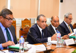 بالصور .. وزير الخارجية يؤكد حرص مصر على الاستجابة للاحتياجات العاجلة للدول الإفريقية