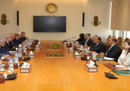 بالصور .. وزير الخارجية يلتقى مع أعضاء المجلس المصري للشئون الخارجية