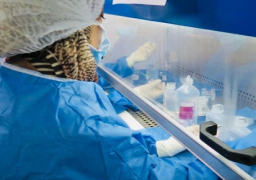 بالصور.. الرعاية الصحية تطلق وثيقة تفعيل الصيدلة الإكلينيكية بمنشآت الهيئة بمحافظات التأمين الصحي الشامل