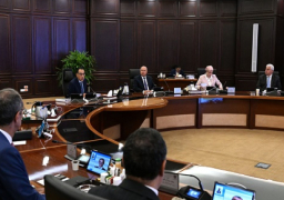 بالصور.. خلال اجتماع الحكومة.. مدبولي: توجيهات رئاسية بمواصلة الجهد المُكثف للحكومة لتعزيز توطين الصناعات الواعدة