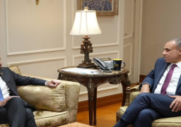 بالصور.. وزير الخارجية يؤكد ضرورة الحفاظ على مؤسسات الدولة السودانية