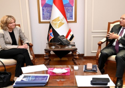 بالصور.. وزير الصناعة والنقل يبحث مع سفيرة النرويج بالقاهرة تعزيز الاستثمارات النرويجية بالسوق المصري