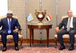 بالصور.. وزيرالخارجية:ندعم وحدة وسيادة الصومال على أراضيه ونرفض أي تدخل بشئونه الداخلية