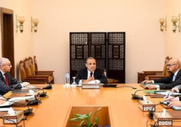 بالصور..وزير الخارجية يجتمع بالقيادات المعنيين بالتحول الرقمي للخدمات القنصلية
