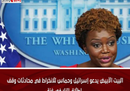 البيت الأبيض يدعو إسرائيل وحماس للانخراط في محادثات وقف إطلاق النار في غزة