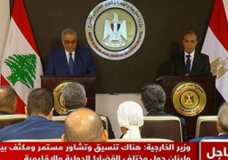 خلال مؤتمر صحفي مشترك .. عبد العاطي : مصر تؤكد مجددًا موقفها الداعم لسيادة لبنان ووحدة وسلامة أراضيه