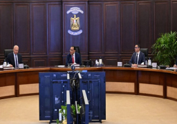 رئيس الوزراء: الدولة تُولي صناعة السيارات حاليًا أولوية قصوى