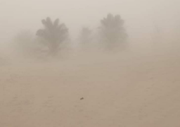 عواصف ترابية شديدة تضرب شرق العوينات وتحجب الرؤية بالوادى الجديد