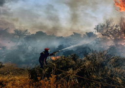 مصرع وإصابة 19 شخصا جراء حرائق اليونان .. والبوسنة وألبانيا تواجهان حرائق مماثلة