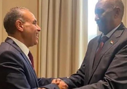 وزير الخارجية يؤكد لـ”البرهان” استمرار دور مصر في مساعدة الأشقاء السودانيين على تجاوز الأزمة الراهنة