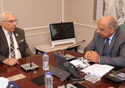 وزير الكهرباء يبحث مع وفد مجلس الشيوخ جهود استقرار التغذية الكهربائية والارتقاء بالخدمات