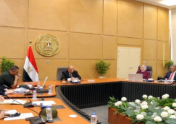 وزير الكهرباء يجتمع باللجنة المسئولة عن إنهاء أعمال مشروع خط الربط مع السعودية