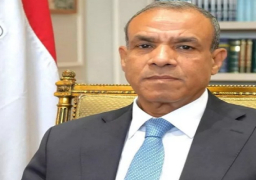 وزيرا خارجية مصر والأردن يحملان إسرائيل مسؤولية التصعيد الخطير بالمنطقة