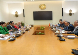 وزيرا خارجية مصر وقبرص يتفقان على أهمية تكثيف الجهود لتجنب تصاعد وتيرة العنف بالمنطقة