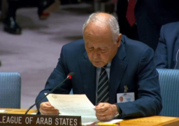 أبو الغيط: العجز أمام مواجهة الوحشية في غزة شجع قادة إسرائيل على التصعيد