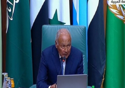 أبو الغيط لمجلس الجامعة العربية: وقف إطلاق النار في غزة مطلب عالمي والحرب الموسعة تلوح في الأفق