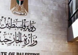 “الخارجية الفلسطينية” تحذر من ارتكاب المزيد من الجرائم الجماعية في قطاع غزة