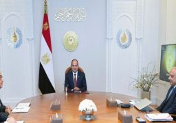 الرئيس السيسي يوجه بمواصلة جهود تحسين خدمات الكهرباء