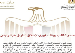 بالصور.. مصر تطالب بوقف فوري لإطلاق النار في غزة ولبنان