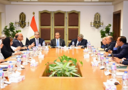 بالصور.. وزير الخارجية: السبيل الوحيد لضمان الاستقرار بالشرق الأوسط هو التوصل لتسوية سياسية شاملة وعادلة للقضية الفلسطينية