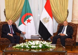 بالصور.. وزير الخارجية والهجرة يلتقي مع نظيره الجزائري خلال الاجتماع الوزاري لمجلس جامعة الدول العربية