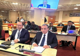 بالصور.. وزير الخارجية يشارك في الاجتماع الوزاري لمجلس السلم والأمن الأفريقي