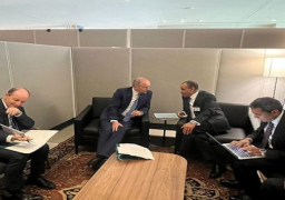 بالصور.. وزير الخارجية يعرب عن التطلع لجذب مزيد من الاستثمارات الأيرلندية المباشرة إلى مصر