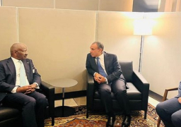 بالصور.. وزير الخارجية يعرب عن التطلع لمواصلة تعزيز علاقات التعاون الثنائي بين مصر وموريتانيا