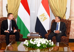 بالصور.. وزير الخارجية يعقد جلسة مباحثات مع نظيره المجري بالقاهرة