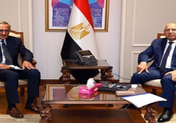 بالصور..وزير الصناعة والنقل : مصر حريصة على زيادة المشروعات الأمريكية بالسوق المصري في الصناعة والنقل