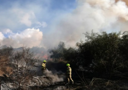 جماعة الحوثي تتبنى إطلاق صاروخ بالستي على وسط إسرائيل