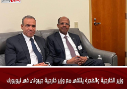 وزير الخارجية والهجرة يلتقي مع وزير خارجية جيبوتي في نيويورك