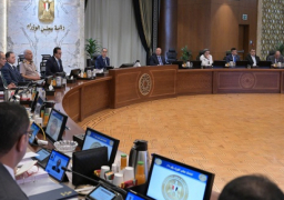 خلال اجتماع مجلس الوزراء.. وزير الكهرباء يستعرض جهود الوزارة لخفض الفقد في شبكات توزيع الكهرباء