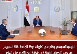 الرئيس السيسي يطلع على تطورات حركة الملاحة بقناة السويس في ضوء التحديات الراهنة في منطقة البحر الأحمر وباب المندب