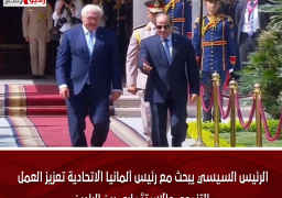 الرئيس السيسي يبحث مع رئيس ألمانيا الاتحادية تعزيز العمل التنموي والاستثماري بين البلدين