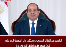 الرئيس عبد الفتاح السيسي يستقبل وزير الخارجية الأمريكي لبحث جهود وقف إطلاق النار في غزة