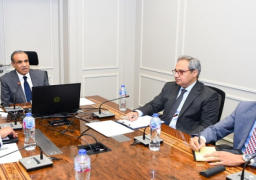 وزير الخارجية: الدولة بكافة مؤسساتها تولى أهمية متقدمة لحماية وتعزيز حقوق الإنسان وتحقيق العدالة الإجتماعية