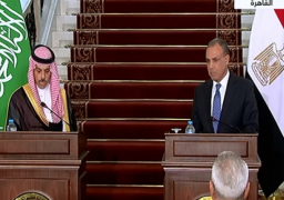 وزير الخارجية: لن نتوقف عن جهودنا الرامية لوقف العدوان على غزة والضفة الغربية