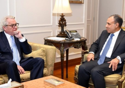 وزير الخارجية يؤكد على إستمرار جهود مصر للتوصل لوقف إطلاق النار وإنفاذ المساعدات الإنسانية إلى غزة