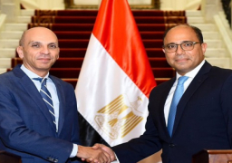 وزير الخارجية يصدر قرارا بتعيين السفير تميم خلاف متحدثا رسميا باسم الوزارة