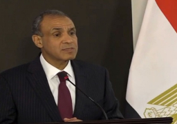 وزير الخارجية يعرب عن قلق مصر البالغ من التصعيد الخطير في جنوب لبنان