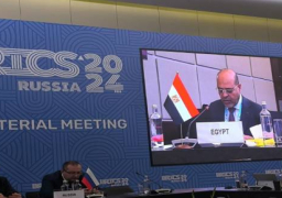 وزير العمل يستعرض جهود مصر بشأن الحماية الاجتماعية أمام وزراء مجموعة البريكس