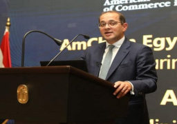 وزير المالية: إعلان حُزْمَة شاملة ومتكاملة من التسهيلات الضريبية خلال ساعات