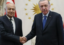 اتفاق عربي تركي على ضرورة الضغط على الغرب لوقف تصدير السلاح لإسرائيل