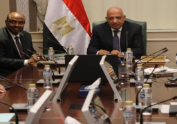 اتفاقية بين مصر وجيبوتي بشأن توريد وتركيب محطة لتوليد الكهرباء بواسطة نظم الخلايا الفوتوفلطية