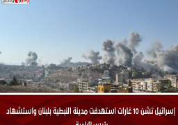 إسرائيل تشن 10 غارات استهدفت مدينة النبطية بلبنان واستشهاد رئيس البلدية