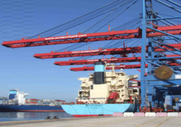 الجريدة الرسمية تنشر قرار الحكومة بإنشاء منطقة حرة خاصة باسم شركة “غرس” لمركزات الموالح ببورسعيد