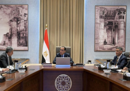 بالصور .. رئيس الوزراء يتابع اللمسات النهائية لمشروع المتحف المصري الكبير وموقف تطوير المنطقة المحيطة