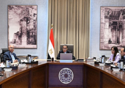 بالصور .. رئيس الوزراء يستعرض مع مسئولي “ستيلانتيس للسيارات” مقترحاتهم حول التوسعات المستقبلية للشركة