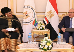 بالصور .. وزير الري يؤكد حرص مصر على دعم أواصر التعاون مع جنوب إفريقيا في مجال المياه